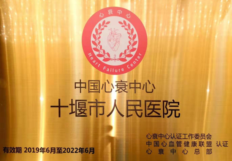 国家级心衰中心花落十堰人医