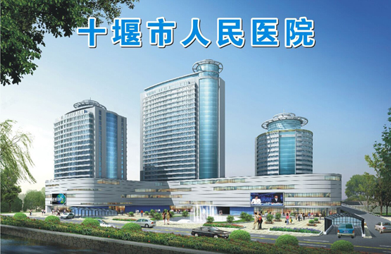 十堰市人民医院深化扶贫惠民工程促跨越发展工作纪略